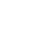 imagem do icone do NextJs